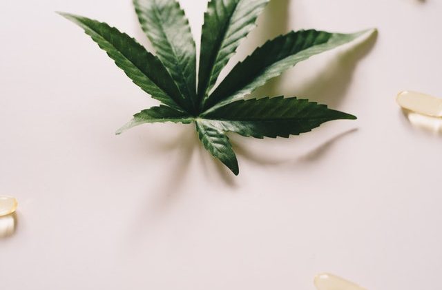 CBD Vingummi: Den nye måde at få din CBD på